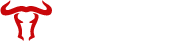 Bullstage Logo